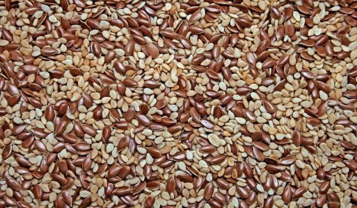 Les compléments alimentaires à privilégier pour la pratique du fitness
