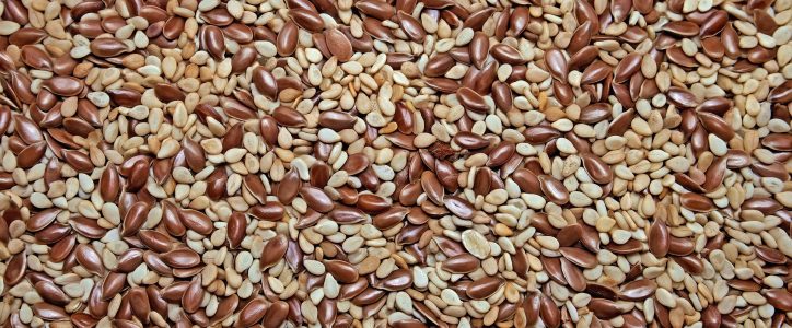 Les compléments alimentaires à privilégier pour la pratique du fitness