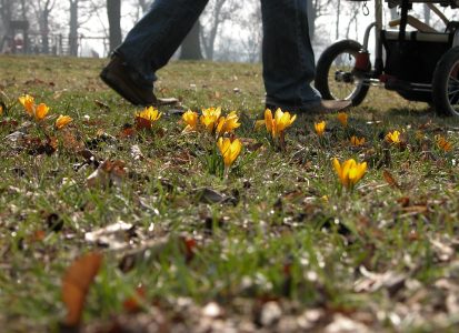 Pourquoi choisir d’acheter une poussette trio ?