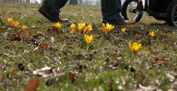 Pourquoi choisir d’acheter une poussette trio ?