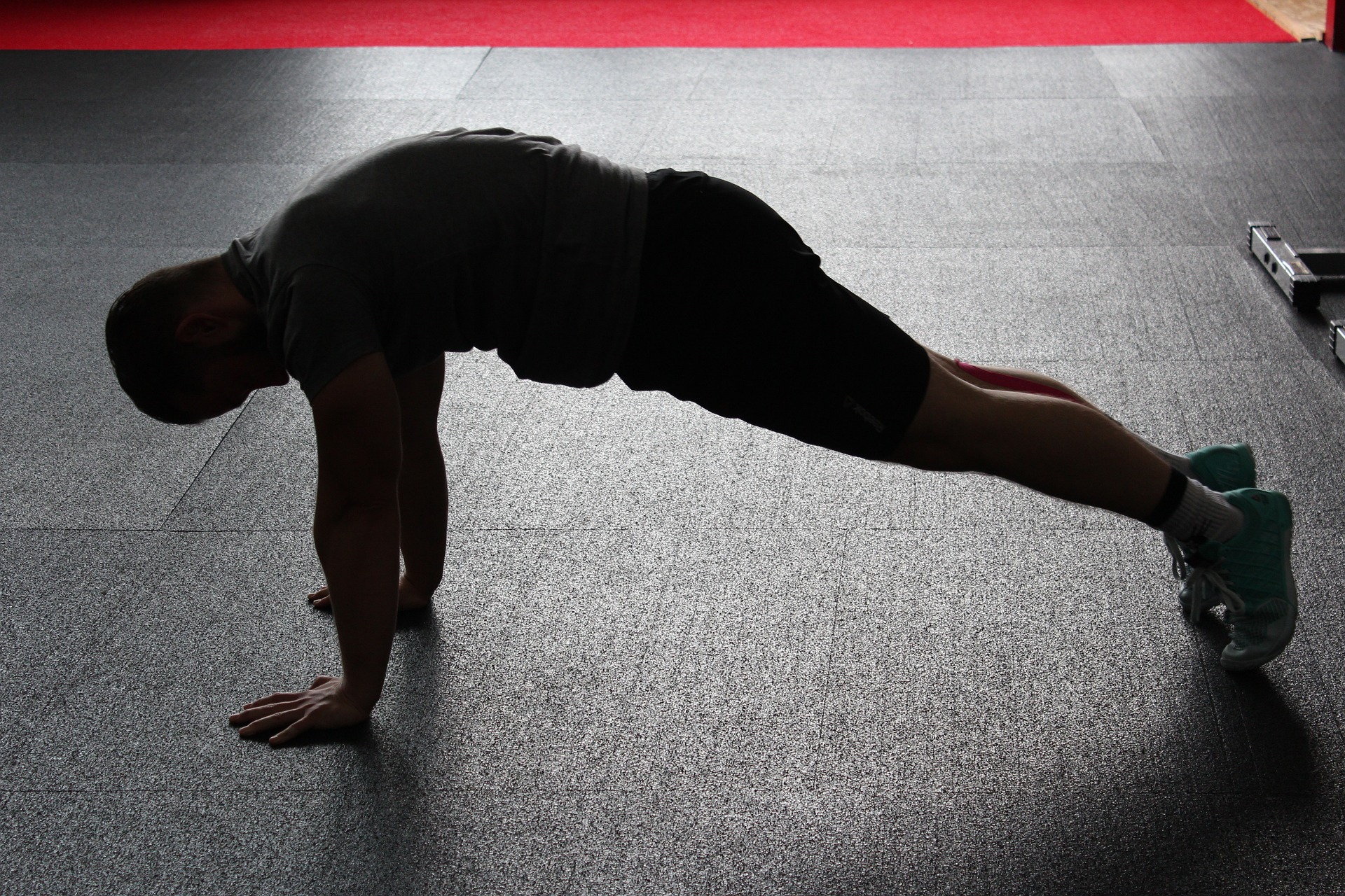 Que savoir sur la musculature ?